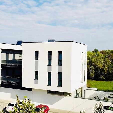 Casa Maria City Apartments Timişoara Eksteriør bilde