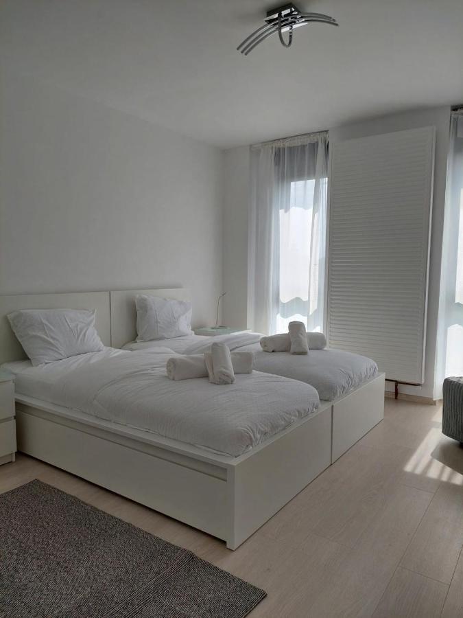 Casa Maria City Apartments Timişoara Eksteriør bilde